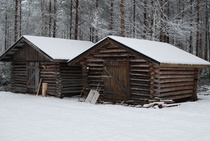 Puuladot